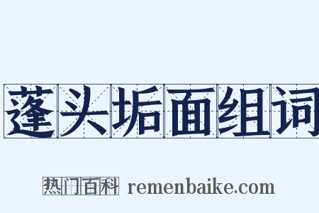 蓬头垢面组词是什么意思的图片